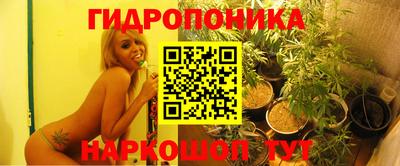 скорость Моздок
