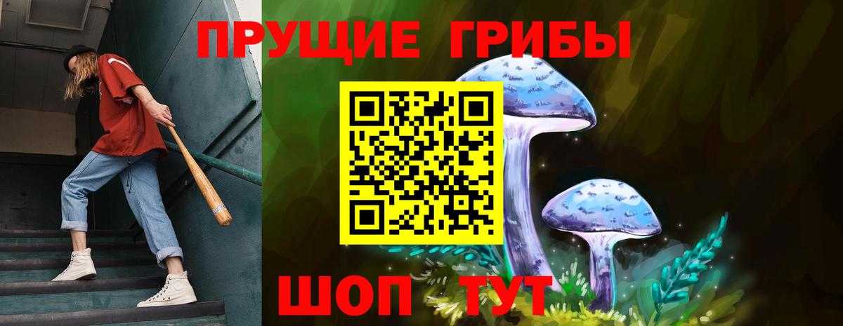 Ханты-Мансийск  наркотики  Вход с VPN  Псилоцибиновые грибы Psilocybe 